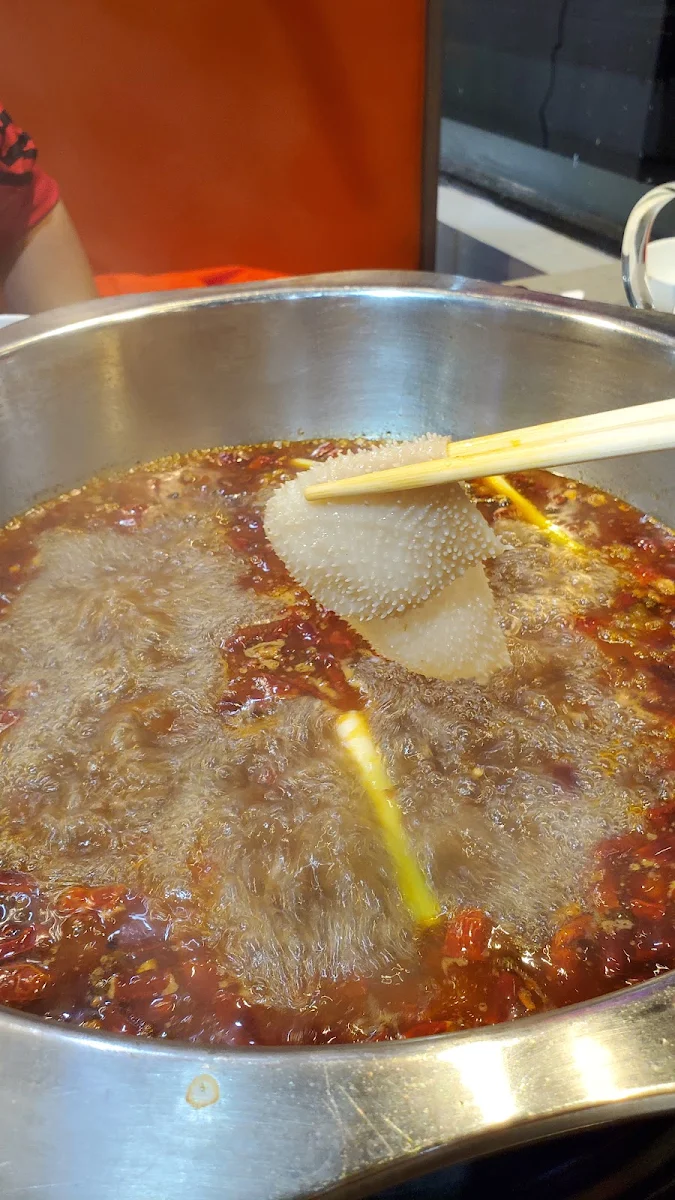 毛肚